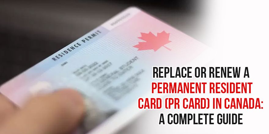 Visitor Visa Consultant in Brampton